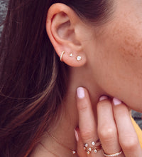 Charger l'image dans la galerie, Shan