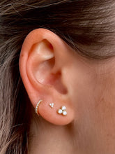 Charger l'image dans la galerie, Lexa